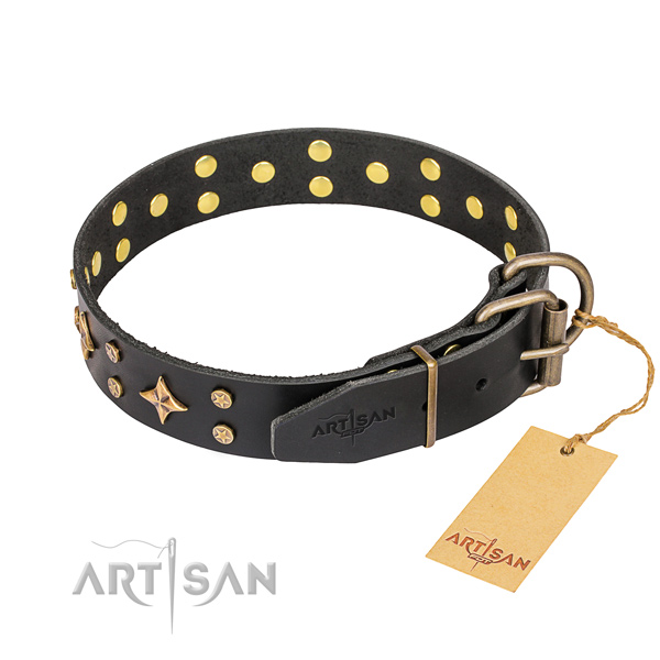 Remarkable genuine leather dog collar for daily use