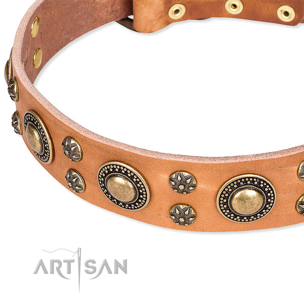 Leather dog collar with exceptional decorations