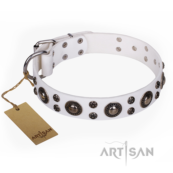 Exquisite natural genuine leather dog collar for everyday walking