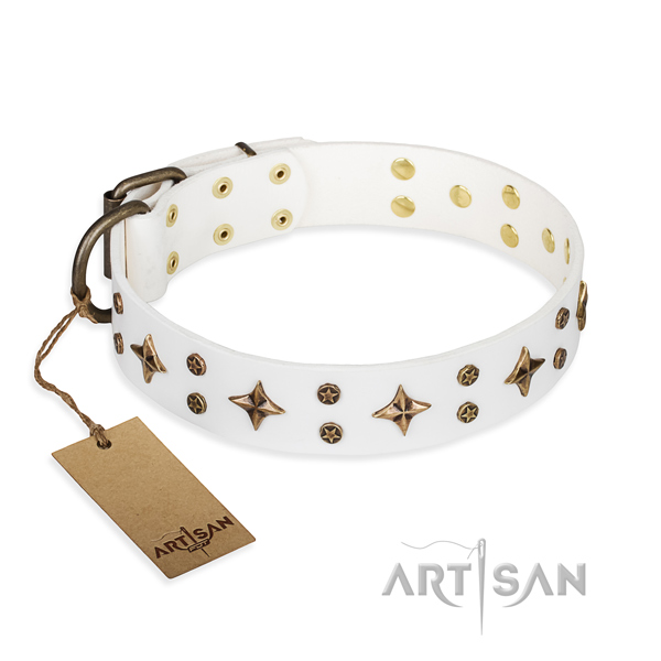 Extraordinary full grain genuine leather dog collar for stylish walking