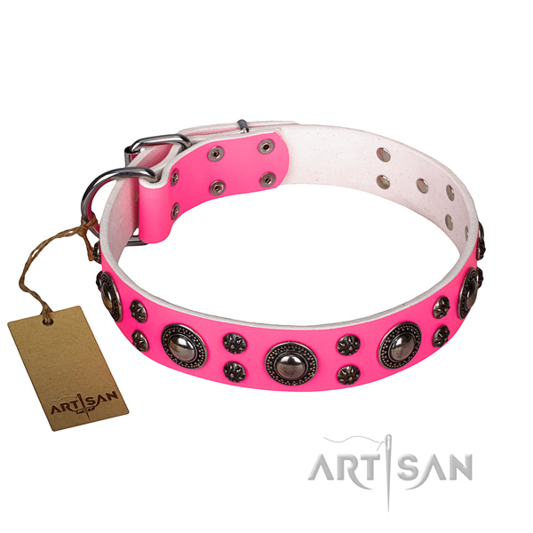 Incredible leather dog collar for daily walking
