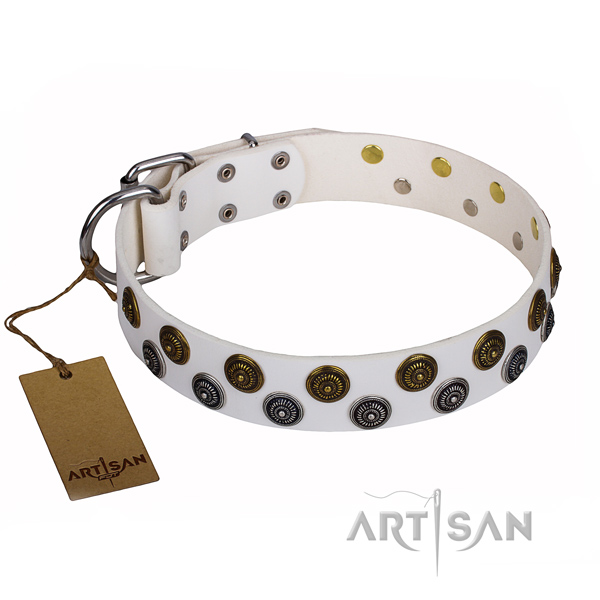 Amazing leather dog collar for walking