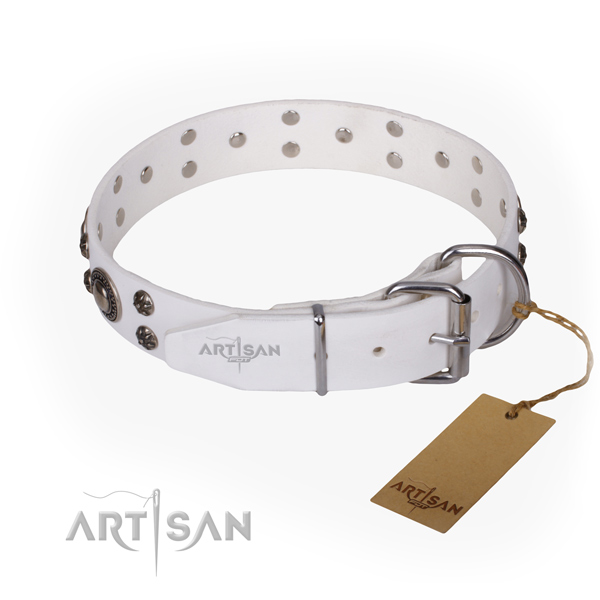 Daily use full grain genuine leather collar with adornments for your canine