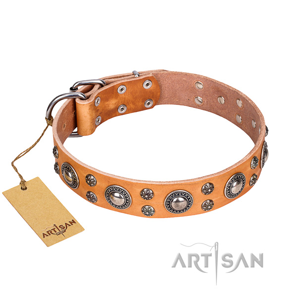 Trendy full grain natural leather dog collar for daily walking