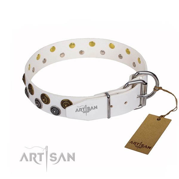Everyday use leather collar with adornments for your pet