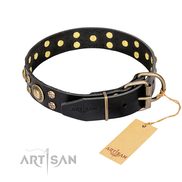 Everyday walking full grain leather collar with studs for your doggie