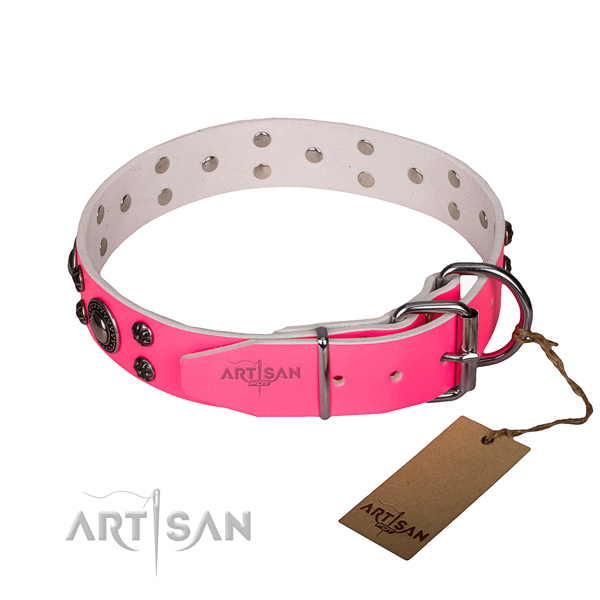 Daily use full grain leather collar with strong buckle and D-ring