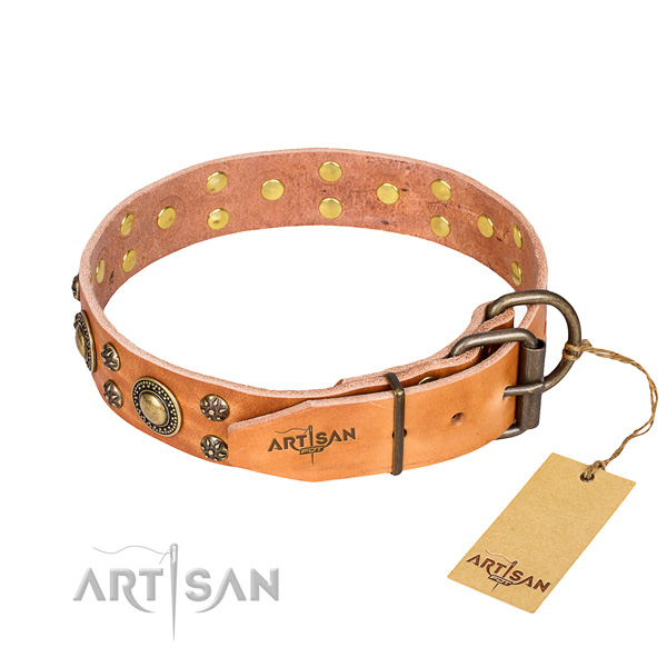 Stylish walking full grain leather collar with adornments for your dog