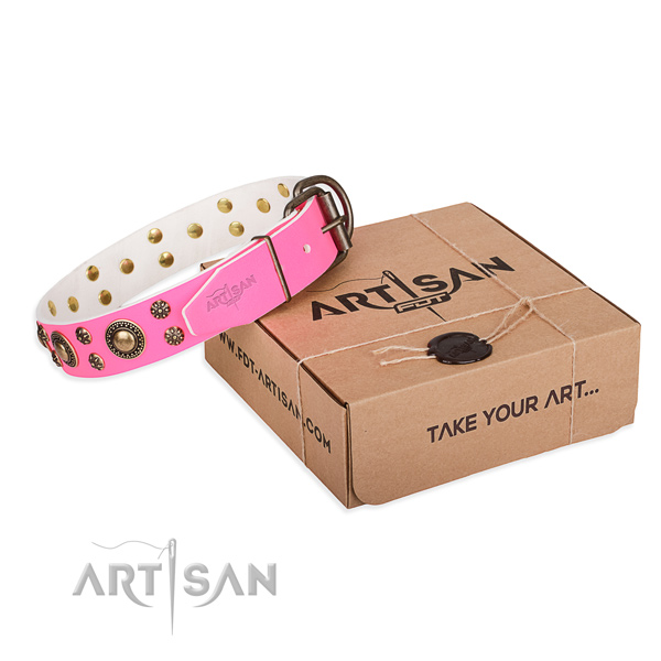 Leather dog collar with studs for everyday walking