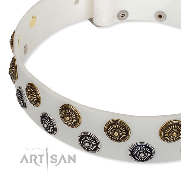 Full grain leather dog collar with impressive embellishments