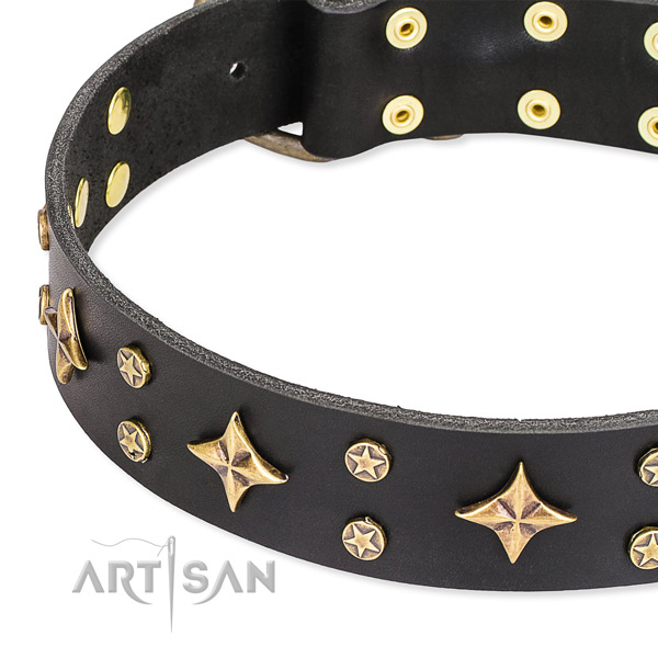 Full grain leather dog collar with stunning studs