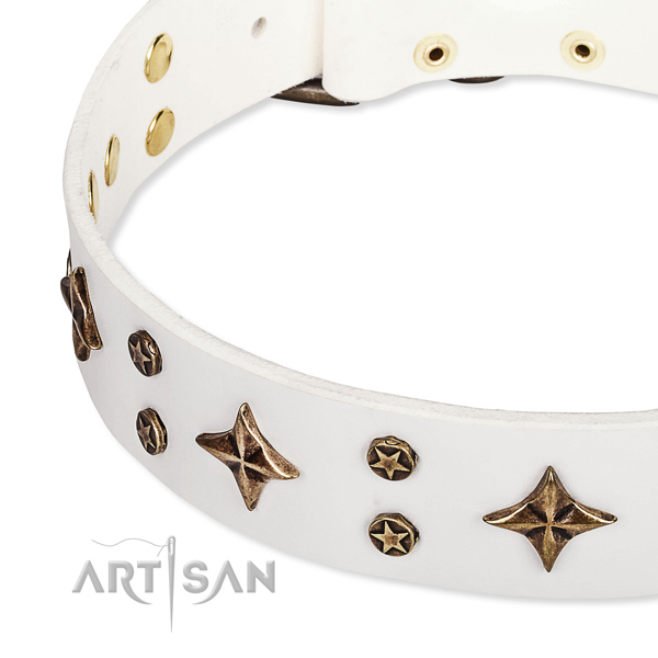 Full grain natural leather dog collar with fashionable adornments