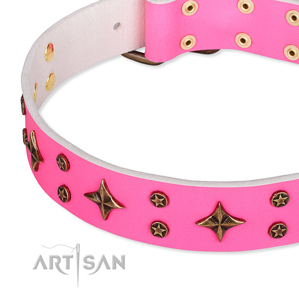Full grain natural leather dog collar with exceptional studs