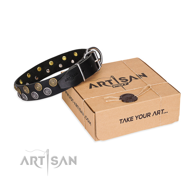 Genuine leather dog collar with embellishments for daily use