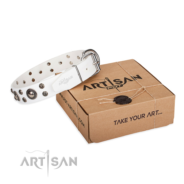 Fine quality natural genuine leather dog collar for walking