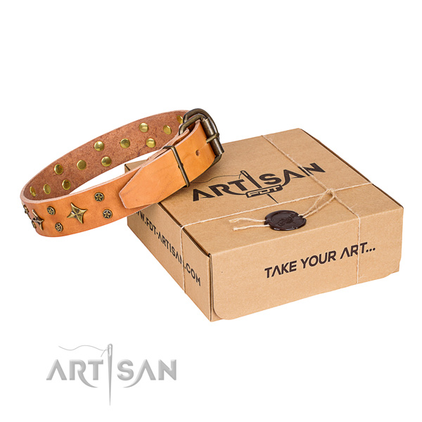 Adorned full grain genuine leather dog collar for stylish walking
