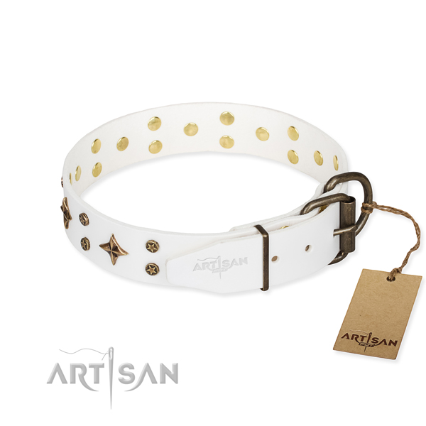 Everyday use genuine leather collar with adornments for your doggie