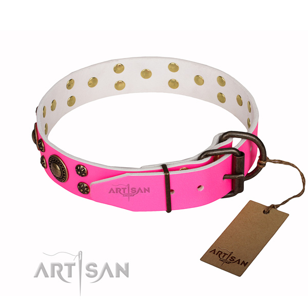 Fashionable full grain natural leather dog collar for daily use