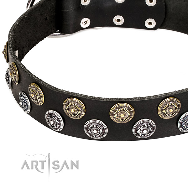 Genuine leather dog collar with incredible studs