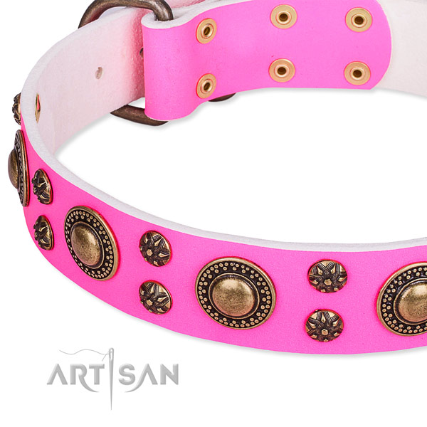 Natural genuine leather dog collar with remarkable adornments