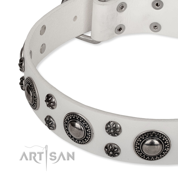 Daily walking full grain genuine leather collar with corrosion resistant buckle and D-ring