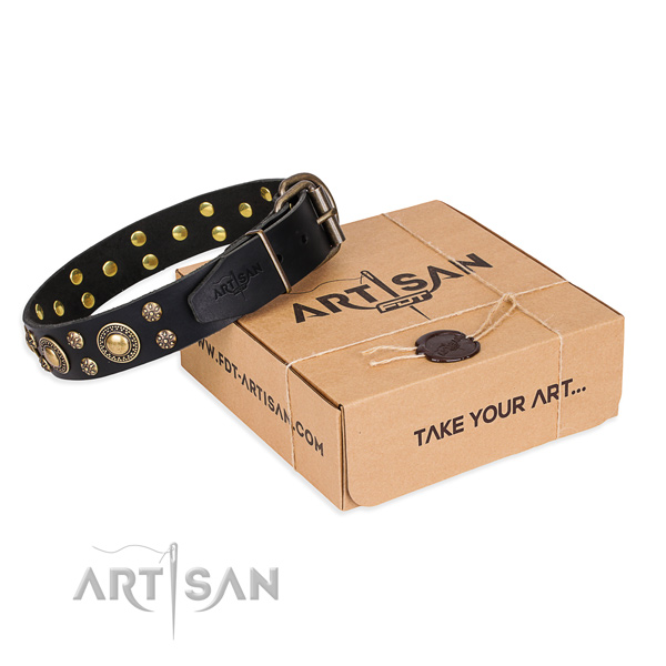 Top notch full grain natural leather dog collar for stylish walks