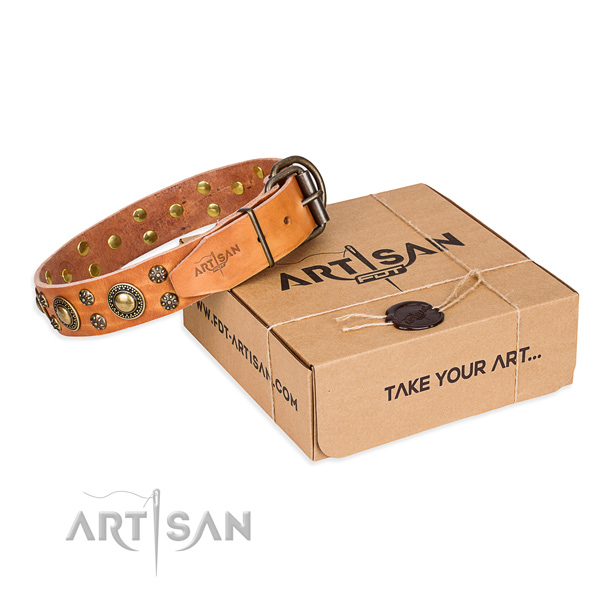 Full grain natural leather dog collar with embellishments for everyday use