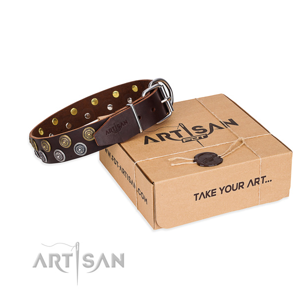 Genuine leather dog collar with studs for everyday walking
