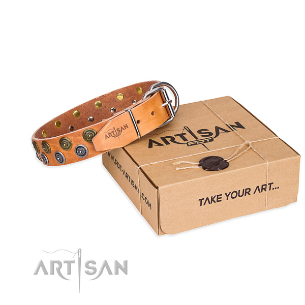 Genuine leather dog collar with studs for everyday walking