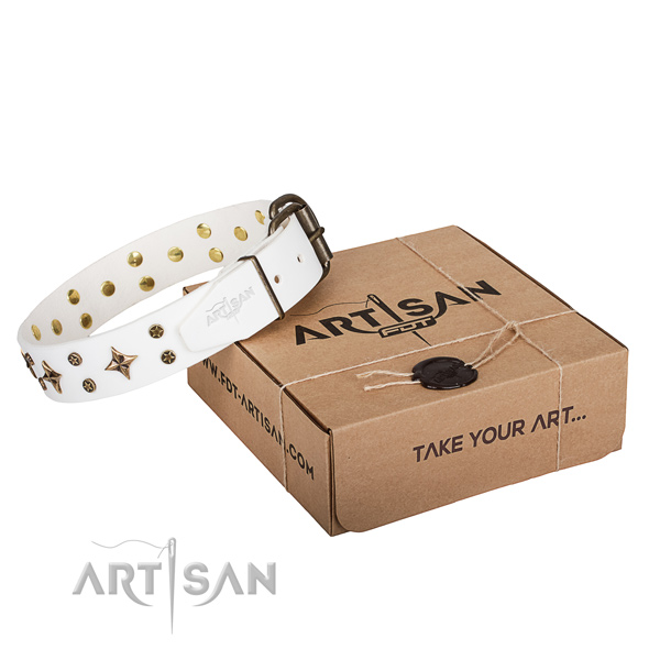 Embellished full grain leather dog collar for walking