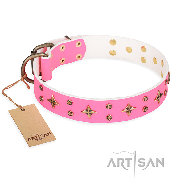 Unusual leather dog collar for everyday walking