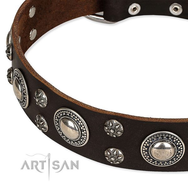 Easy to adjust leather dog collar with extra sturdy chrome plated buckle