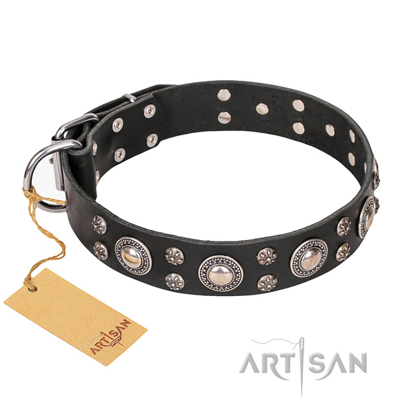 Hardwearing leather dog collar with riveted details