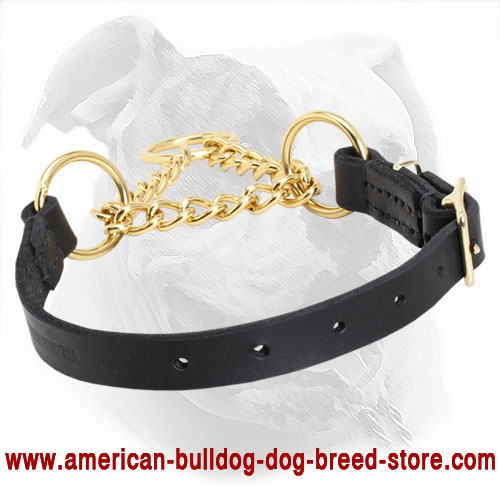  Leather Martingale American Bulldog Collar 