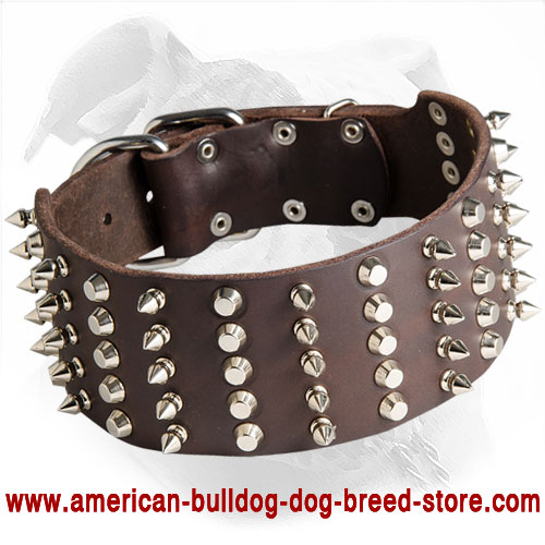 Wide Leather American Bulldog Collar