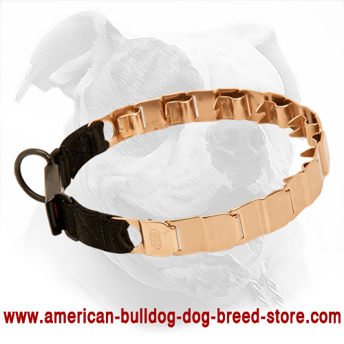 Curogan American Bulldog Collar