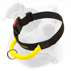 High quality nylon collar