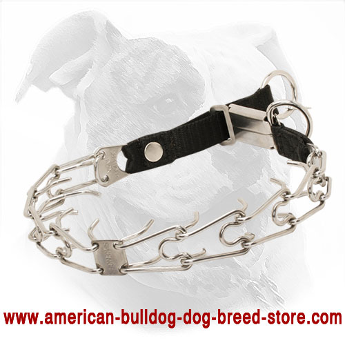  Pinch American Bulldog Collar 