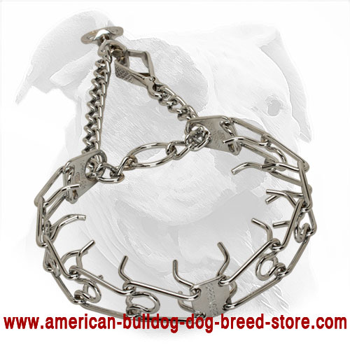  Obedient Pinch American Bulldog Collar 