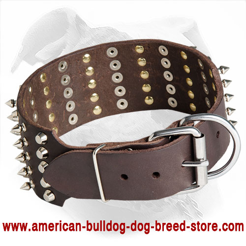  Leather American Bulldog Collar with Buckle