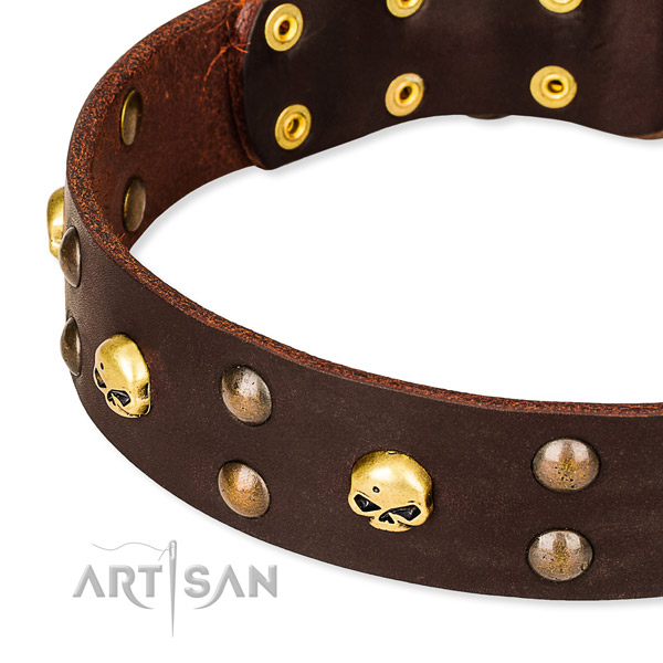 Best quality leather dog collar for walking