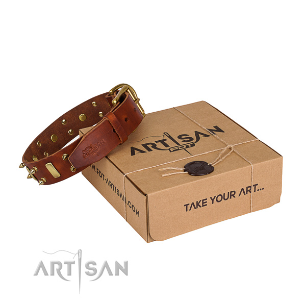 Casual style leather dog collar with stunning embellishments
