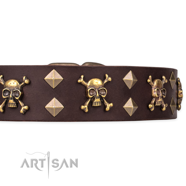 High quality leather dog collar for training and walking