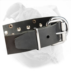 Corrosion Resistant Buckle and Ring for Leash Attachment