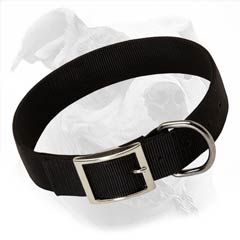 American Bulldog nylon collar