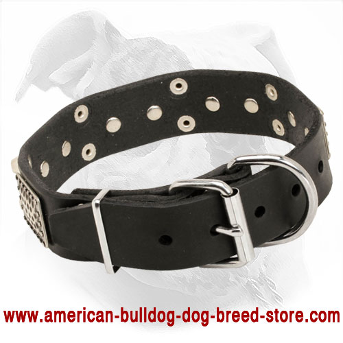  Leather American Bulldog Collar
