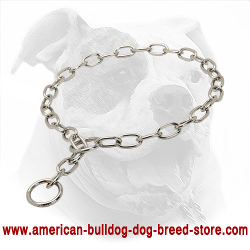  Rustproof Fur Saver American Bulldog Collar 