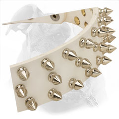 Corrosion Resistant Decorative Spikes