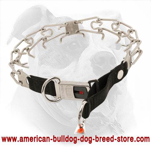 Metal Pinch Dog Collar for American Bulldog