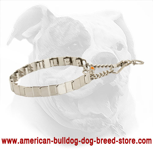 Neck Tech American Bulldog Collar